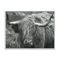 אמנות עיצוב 'תקריב של פרה סקוטית על מורלנד אני' בית חווה הדפס אמנות קיר בד ממוסגר